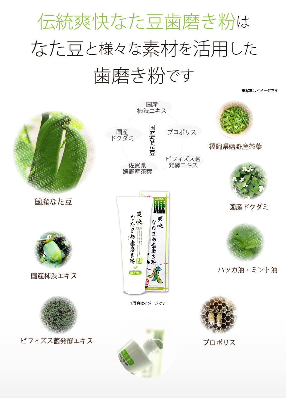 伝統爽快なたまめ歯磨き粉 効果